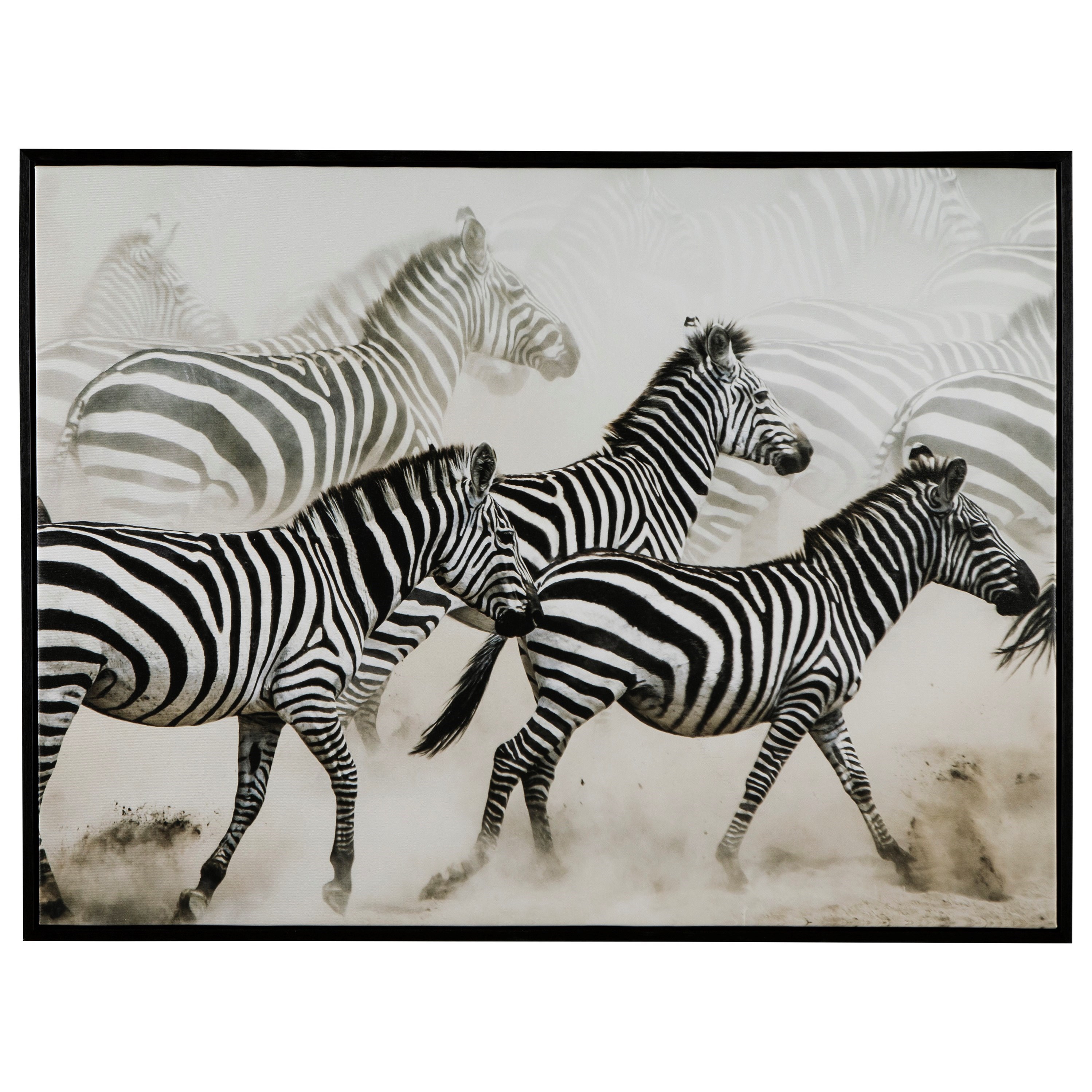 Ashley Signature Design Wall Art A8000107 Breeda Black/White Zebra Wall
